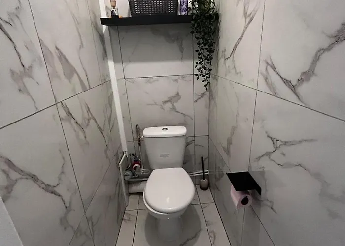 Large 3 Bedroom Cozy 아파트 디종